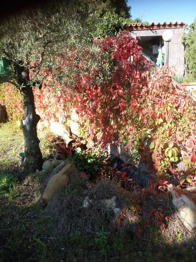 Villa Antonietta Pedara Privat bolig